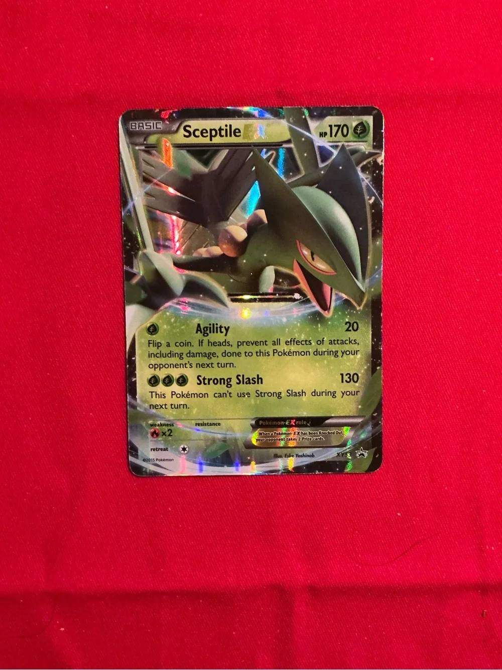 The Pokémon Company Pokémon TCG Sceptile EX XY53 XY Holo Promo English 2015 170